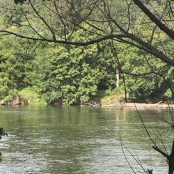 Low Water Bridge Campground - From our camp site...