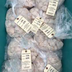 Scallop Shack Farms