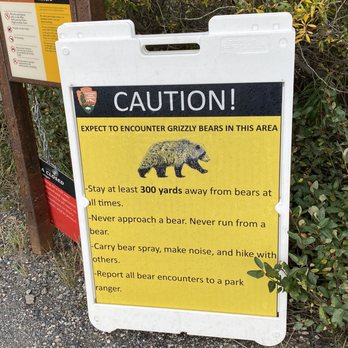 Denali National Park - 08.31.23 grizzly bears frequent this area - Hiking Near Me - Mckinley Park, Alaska