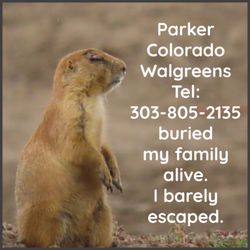 Walgreens - Lincoln park or Walgreens, surviving prairie dog injured due to unauthorized Landscaping activities by Walgreens.