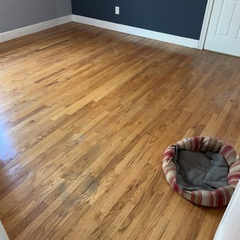 Functional Floors - a dog bed on the floor - Flooring Near Me - Livonia, Michigan