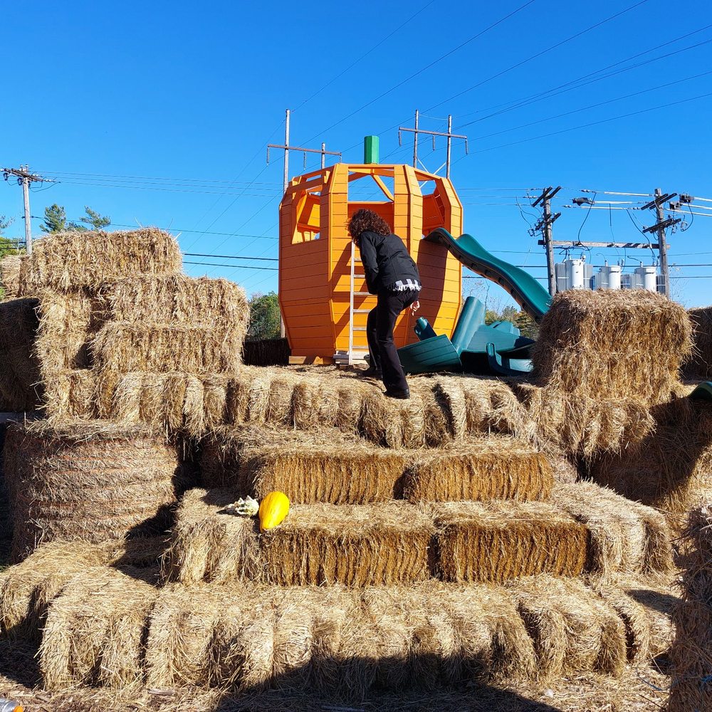 Farmer Jon's - Attraction Farms Near Me - Selkirk, New York