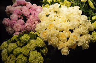 Vernon Flower Shop by null