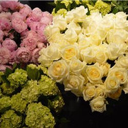 Vernon Flower Shop