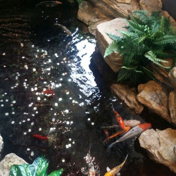 Mandarin Restaurant - Chinese Near Me - Mississauga, Ontario