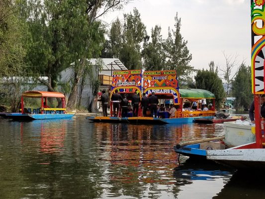 Xochimilco by null