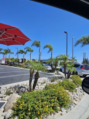 In-N-Out Burger by null