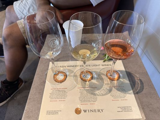 LDV Winery by null