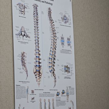 Barrington Orthopedic Specialists - Orthopedists Near Me - Schaumburg, Illinois Barrington Orthopedic Specialists - Orthopedists Near Me - Schaumburg, Illinois