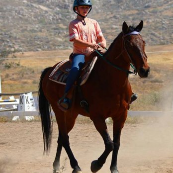 Central Park Stables - Lesson time! - Horseback Riding Near Me