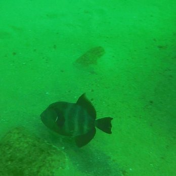 PuraBaja Tours - Snorkeling Near Me - Cabo San Lucas, BCS