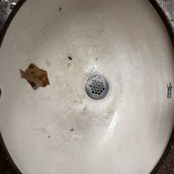 Wendy's - Nasty bathroom sink