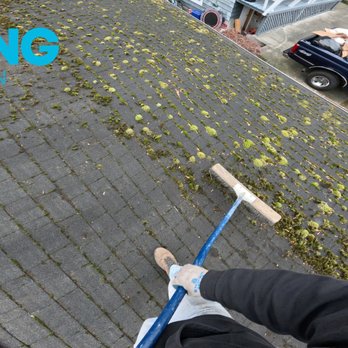 Spring Clean - Brushing off large moss chunks in Normandy Park Wa - Pressure Washers Near Me - Auburn, Washington Spring Clean - Brushing off large moss chunks in Normandy Park Wa - Pressure Washers Near Me - Auburn, Washington