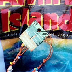 Alvin's Island #30