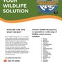 Photo of Brian's Wildlife Management