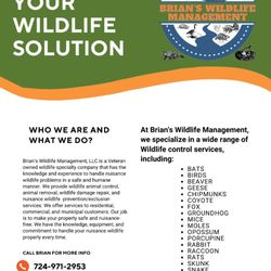 Brian's Wildlife Management
