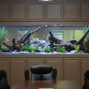 Aquarium Service Professionals - Aquarium Services Near Me Aquarium Service Professionals - Aquarium Services Near Me