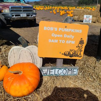 Bob's Vegetable Stand & Pumpkin Farm - Pumpkin Patches Near Me - Half Moon Bay, California Bob's Vegetable Stand & Pumpkin Farm - Pumpkin Patches Near Me - Half Moon Bay, California