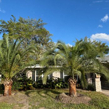 JAAG Multiservices - Planting palm trees - Landscaping Near Me - Southwest Ranches , Florida JAAG Multiservices - Planting palm trees - Landscaping Near Me - Southwest Ranches , Florida