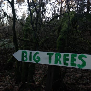 Hemstrom Valley Tree Farm Christmas Trees - Christmas Trees Near Me - Granite Falls, Washington