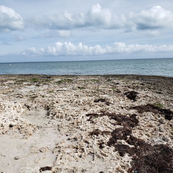 Sombrero Beach - Beach was nice. A little mucky with grass. - Swimming Pools Near Me - Marathon, Florida Sombrero Beach - Beach was nice. A little mucky with grass. - Swimming Pools Near Me - Marathon, Florida