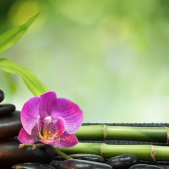 Eternal Bliss Massage Therapy - Eternal Bliss - Massage Therapy Near Me - Reno, Nevada Eternal Bliss Massage Therapy - Eternal Bliss - Massage Therapy Near Me - Reno, Nevada