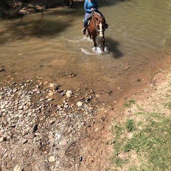 Trail Horse Adventures - Crossing the Brooke - Horseback Riding Near Me - Cottonwood, Arizona Trail Horse Adventures - Crossing the Brooke - Horseback Riding Near Me - Cottonwood, Arizona