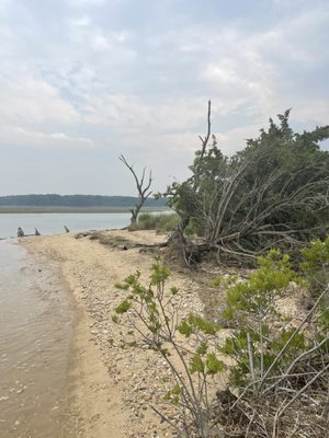 Crab Meadow Beach by null