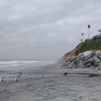 Beach Wolf - a beach with seagulls - Beach Equipment Rentals Near Me - Encinitas, California Beach Wolf - a beach with seagulls - Beach Equipment Rentals Near Me - Encinitas, California