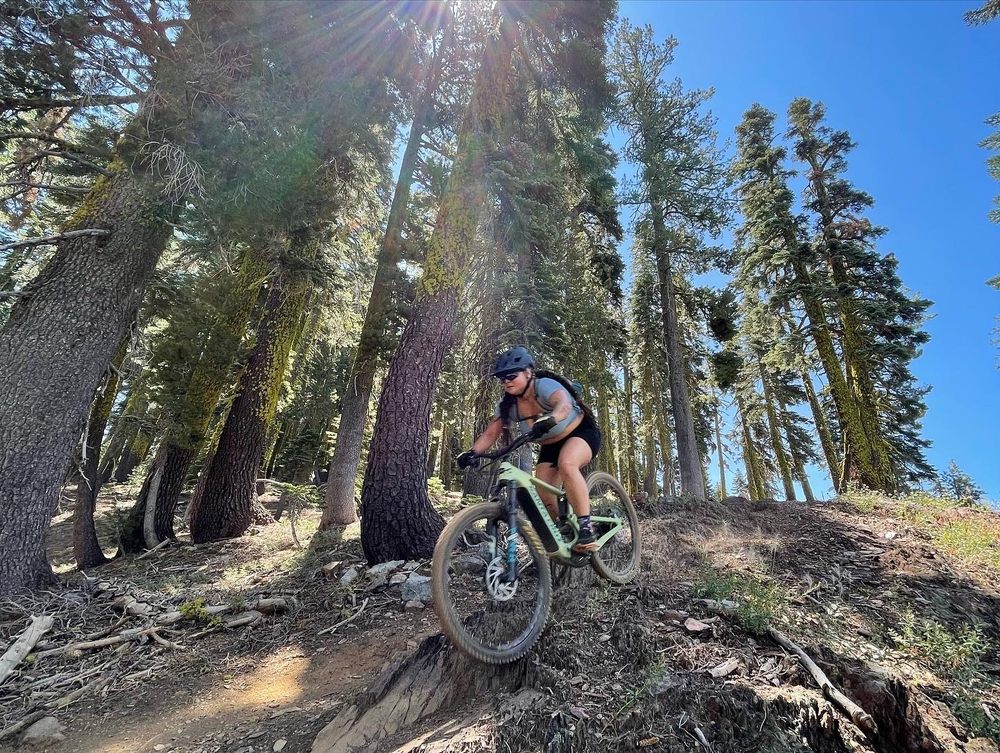 Norcal Flow Expeditions Mountain Bike Tours  Logo