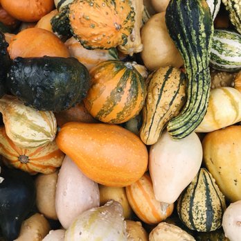 Bates Nut Farm - Specialty Food Near Me - Valley Center, California Bates Nut Farm - Specialty Food Near Me - Valley Center, California