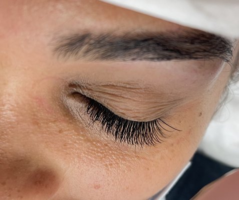 MissCat Eyelash by null