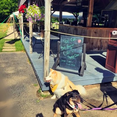 Bike House Brewing by null