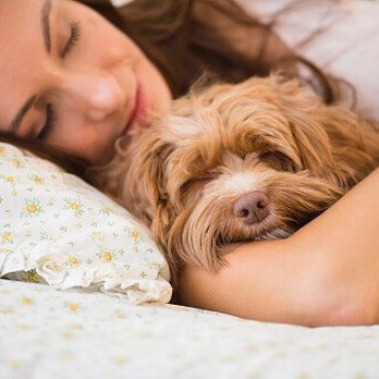 K9 Krewe Pet Care - K9 Krewe offers Overnight Stay Pet Sitting services in your home! - Dog Walkers Near Me K9 Krewe Pet Care - K9 Krewe offers Overnight Stay Pet Sitting services in your home! - Dog Walkers Near Me
