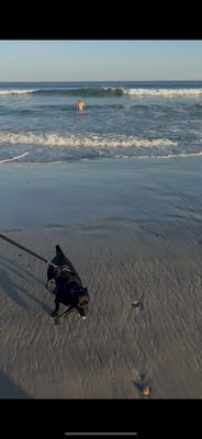 Narragansett Town Beach by null
