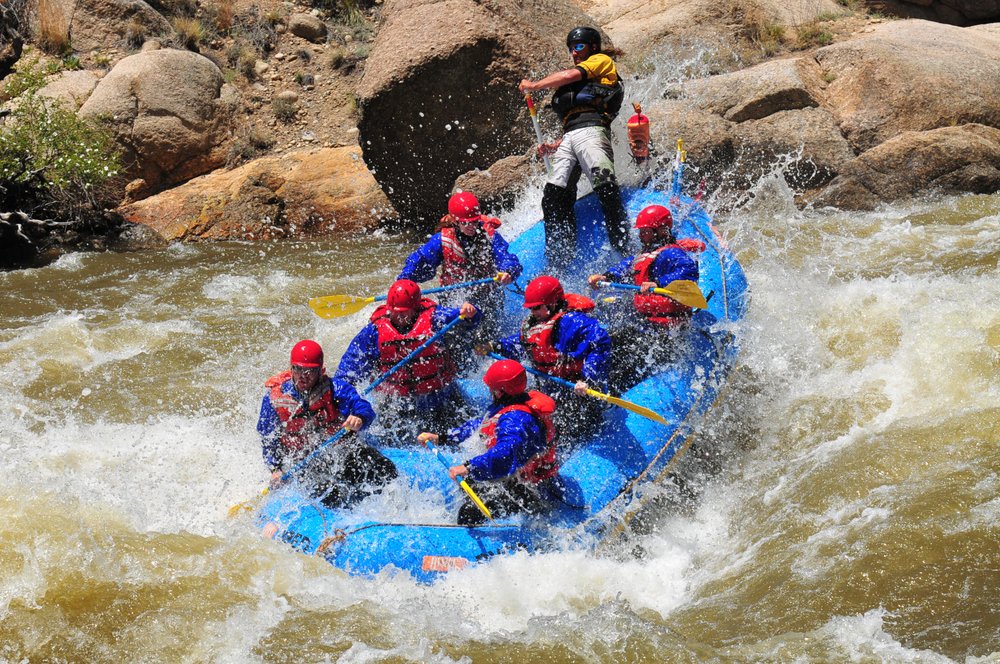 Dvorak Kayak and Rafting Expeditions Logo
