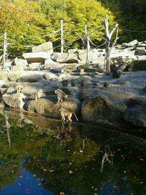 Hellabrunn Zoo by null