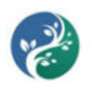 Photo of Whole Beauty and Health Acupuncture