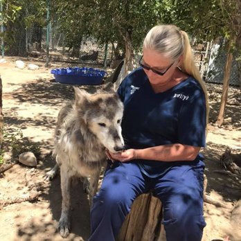My Pet Ambulance - Medical Transportation Near Me - Hesperia, California My Pet Ambulance - Medical Transportation Near Me - Hesperia, California