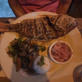 El Barracuda - The Red Snapper - Seafood Near Me - Nuevo Vallarta, NAY El Barracuda - The Red Snapper - Seafood Near Me - Nuevo Vallarta, NAY