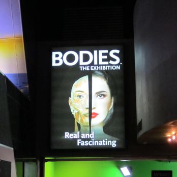 BODIES... The Exhibition - Amazing. - Museums Near Me - Las Vegas, Nevada BODIES... The Exhibition - Amazing. - Museums Near Me - Las Vegas, Nevada