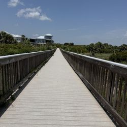 Ocean Hammock Park Walkway