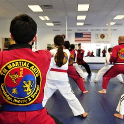 TM Martial Arts - Taekwondo Class