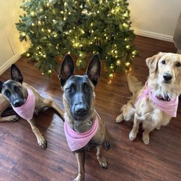 Summit, Sierra, & Barbie Summit, Sierra, & Barbie