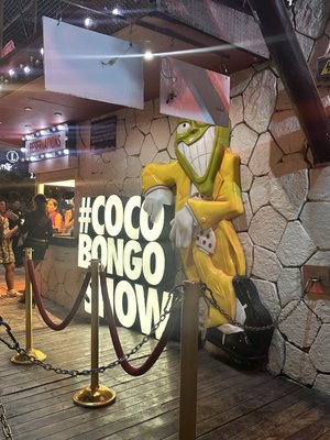Coco Bongo by null