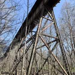 First Broad River Trail