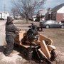 Photo of AM Tree Expert