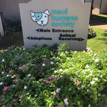 Maui Humane Society - Animal Shelters Near Me - Puunene, Hawaii