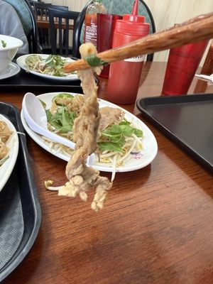 Just Pho...and more by null