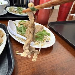 Just Pho...and more